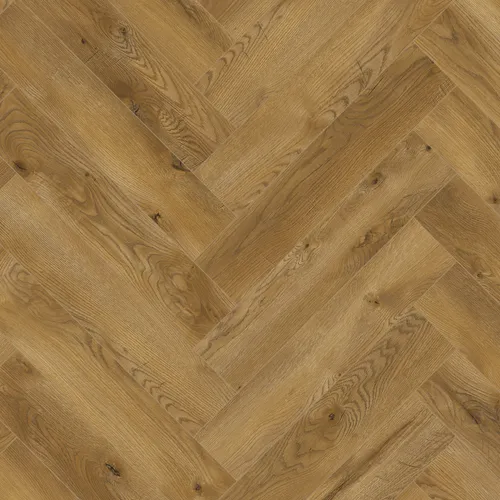 Дуб Беникарло