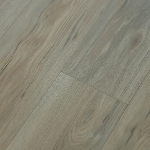 Клен Купер