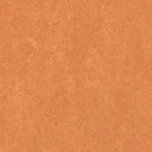 African desert