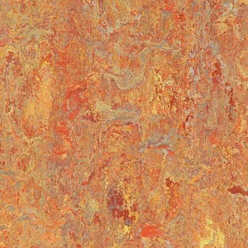 Asian tiger
