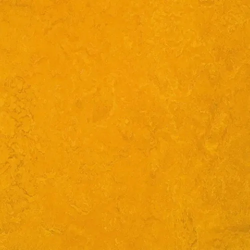 golden sunset
