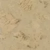 Превью изображение галереи номер 1