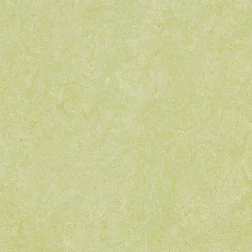 green wellness