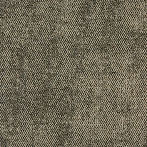 ICE 06