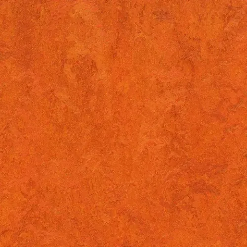 Kyoto