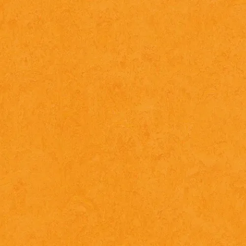 marigold