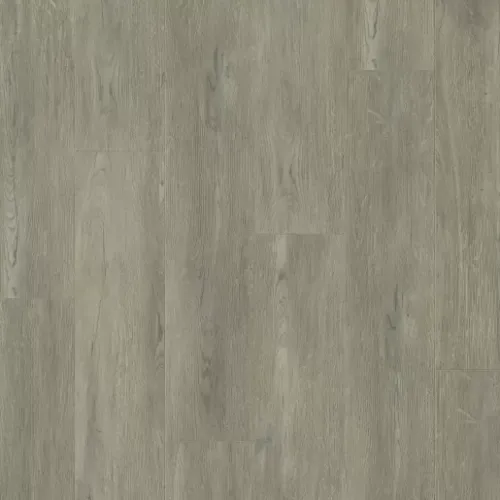 Дуб греш