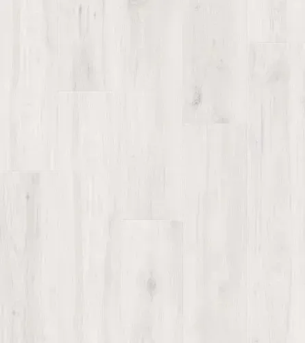 Дуб Зимний