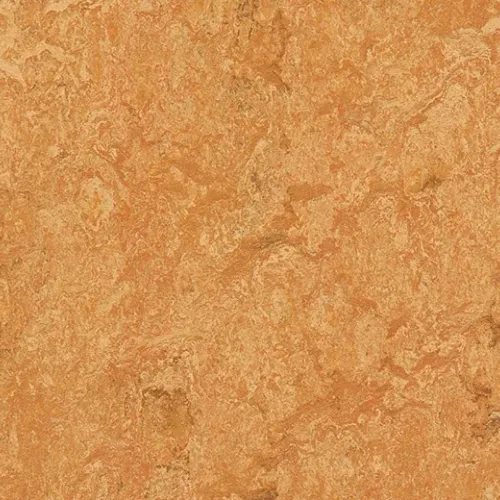 Sahara